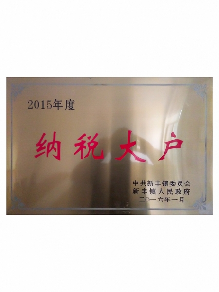 2015年度纳税大户